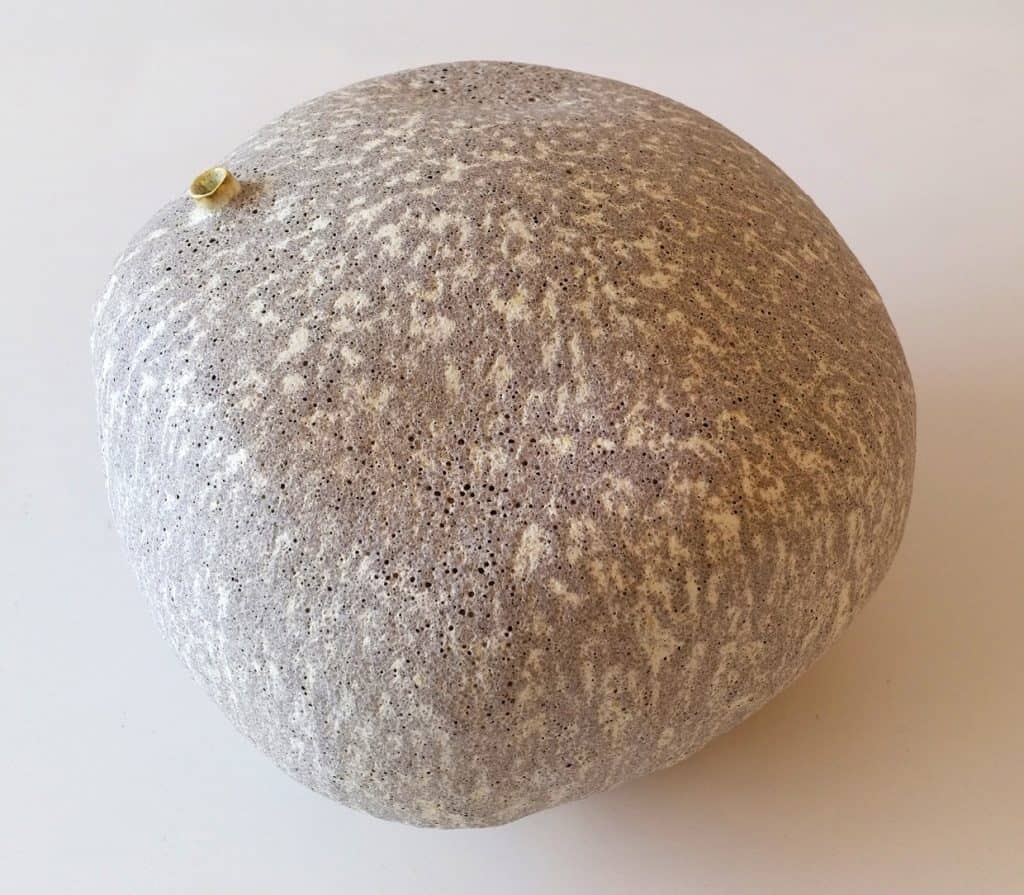 This is not a vase, 2019