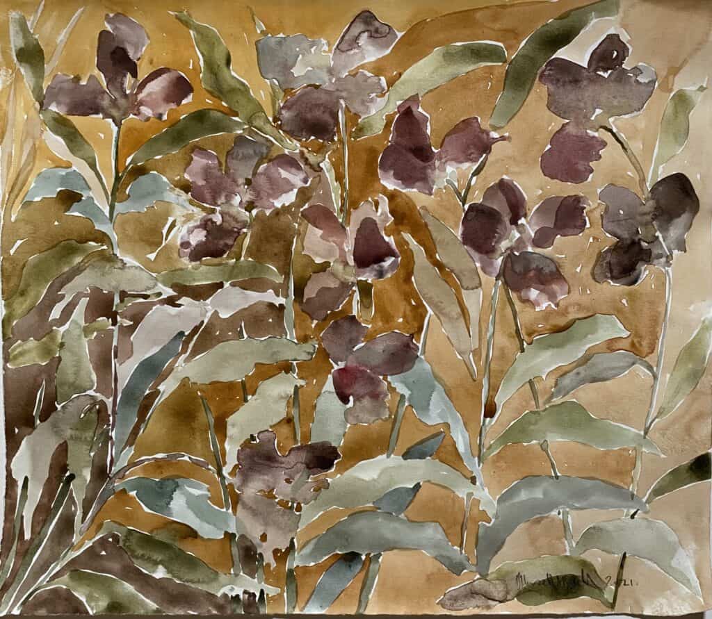 Black Hellebores, 2021