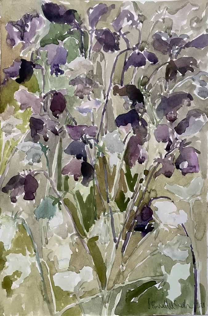 Sweetpeas, 2021