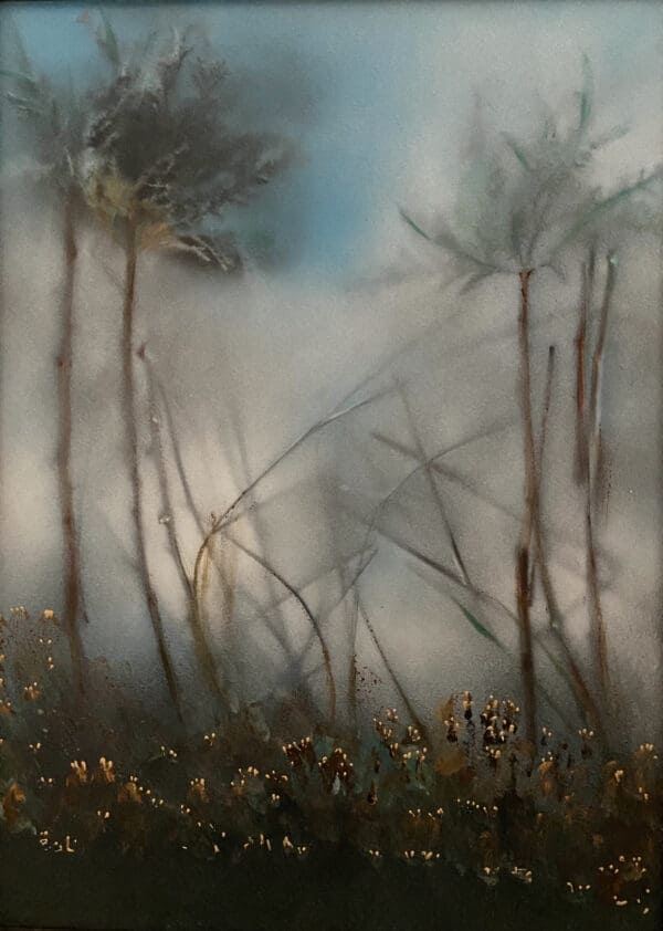 The Back of My Garden, 2010